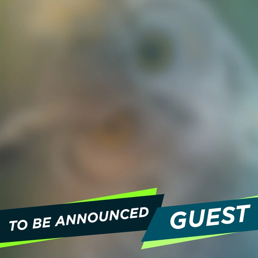 To Be Announced