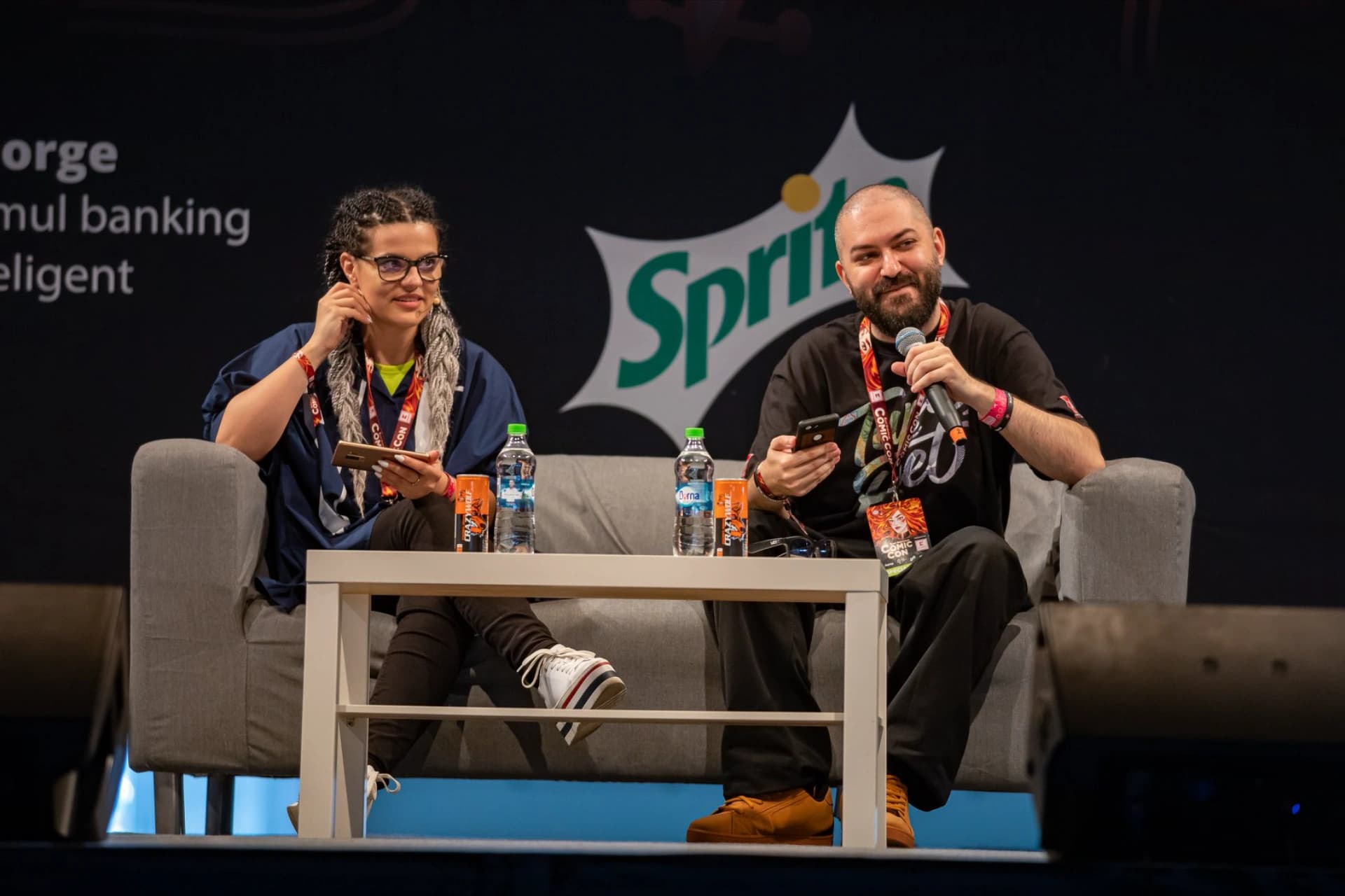 Panel-uri la EECC